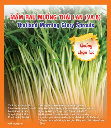Mầm rau muống Thái Lan - Việt á Seeds - Công Ty TNHH Phát Triển Nông Nghiệp Việt Á